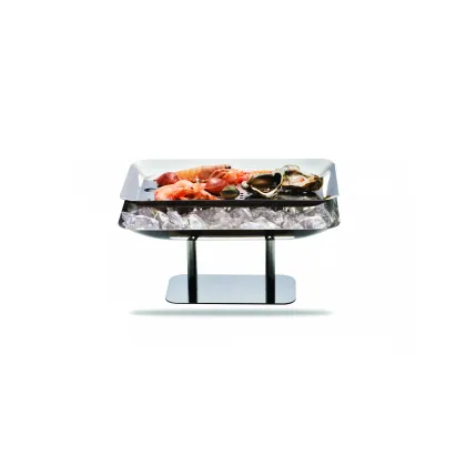 Zdjęcie Stylowa włoska prostokątna taca do serwowania przystawek lub ryb z lodem