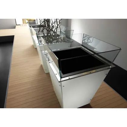Zdjęcie Dekoracyjna szklana donica do domu - Tonelli Design