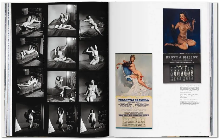 obrazek 10 Książka The Art of Pin-up - Taschen