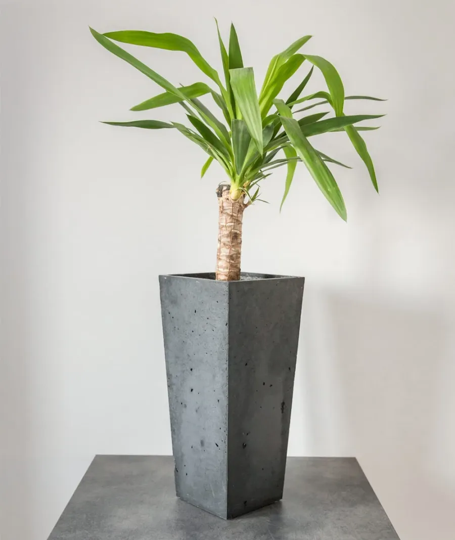 obrazek 1 14x14x40 cm (spód) + 19x19 cm (góra) CT - Donica betonowa w kształcie stożka (antracytowa)