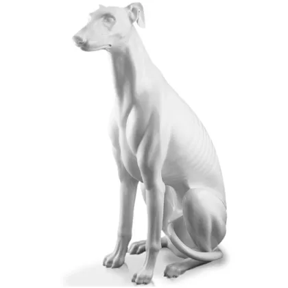 Zdjęcie Duża dekoracyjna figura Charta - 3 modele