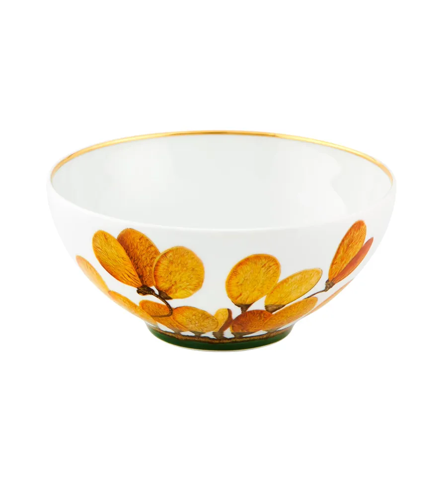obrazek 1 Porcelanowa miska na płatki Amazōnia z motywem roślinnym - Vista Alegre