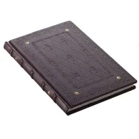 Picture Exclusive guest book made of natural leather - Ikunico