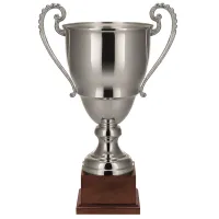 Picture A unique sports trophy - cup