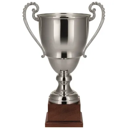 Zdjęcie Niepowtarzalne trofeum sportowe - puchar