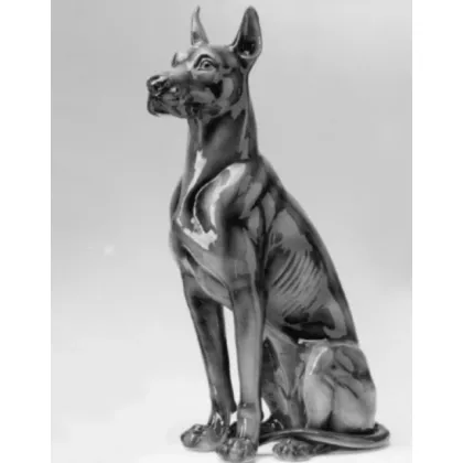 Zdjęcie Alan - Il Gattopardo