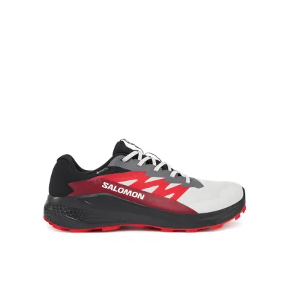 Zdjęcie Salomon Buty do biegania Alphaglide Gore-Tex L47802200 Szary
