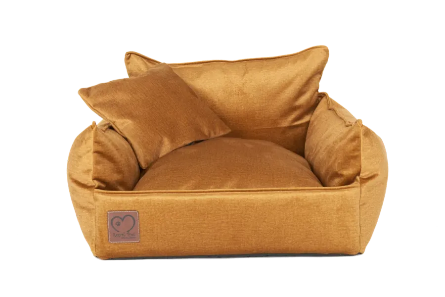 obrazek 2 Tron Imperial Amber Royal Pet