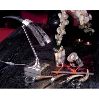Picture A prestigious silver letter opener with an ox or deer horn