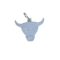 Zdjęcie Piękna zawieszka znak zodiaku byk