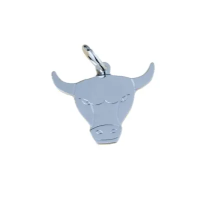Zdjęcie Piękna zawieszka znak zodiaku byk