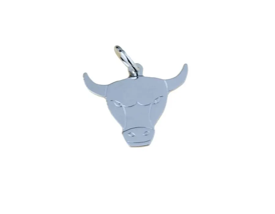 obrazek 1 Piękna zawieszka znak zodiaku byk