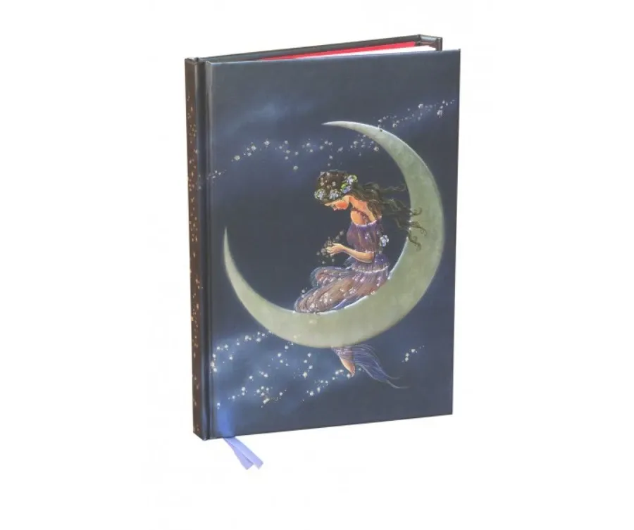 obrazek 2 Dziennik (Jean i Ron Henry: Moon Maiden) - Flame Tree Publishing