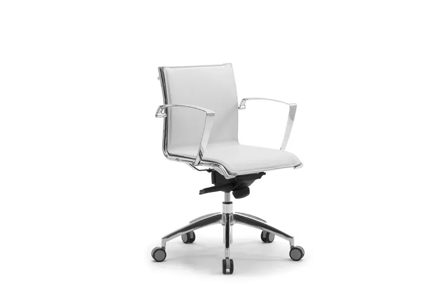 picture 5 Luxurious modernist armchair for office and office