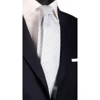 Picture A stylish silk tie for men