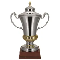 Picture Amazing sports cup with lid