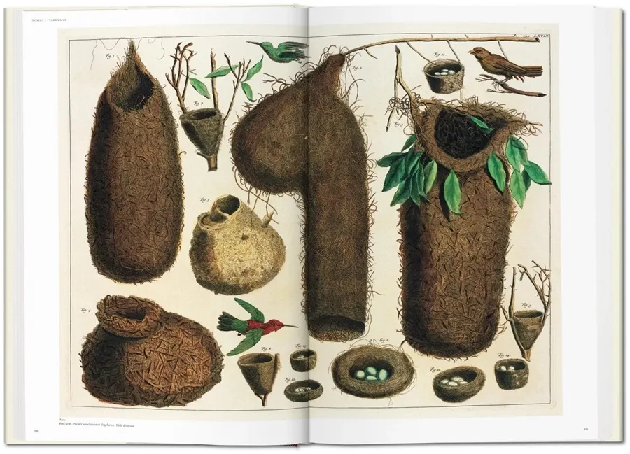 obrazek 6 Książka Albertus Seba. Cabinet of Natural Curiosities - Taschen