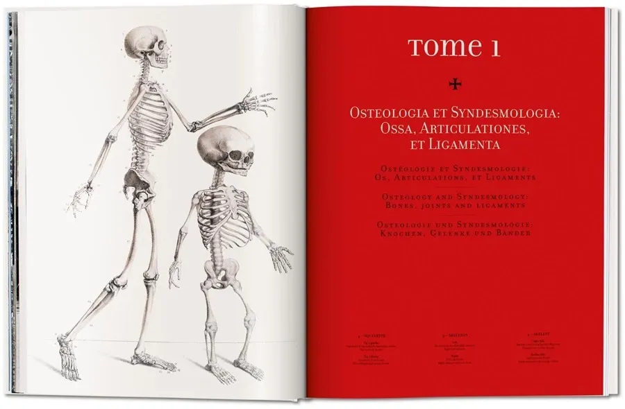 obrazek 2 Książka Bourgery. Atlas anatomii i chirurgii człowieka - Taschen
