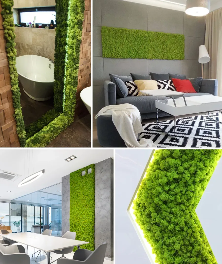 obrazek 1 20x20 cm Chrobotek, mech reniferowy islandzki (003 wiosenna zieleń) - basic