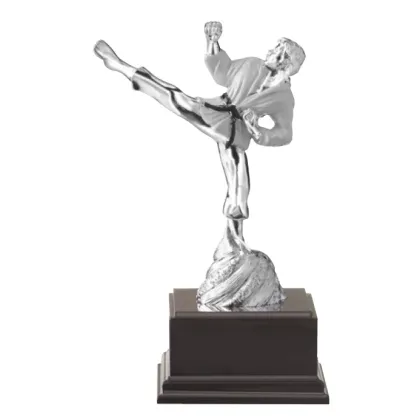 Zdjęcie Statuetka z karateką