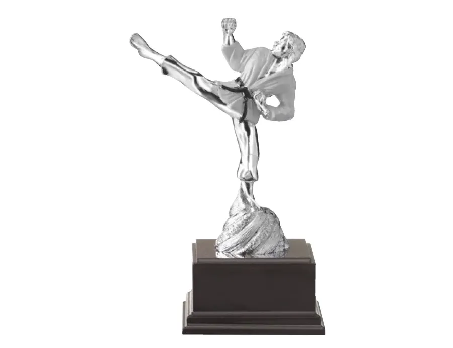 obrazek 1 Statuetka z karateką