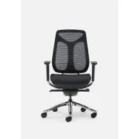 Picture A solid office armchair from the Italian brand Gierre