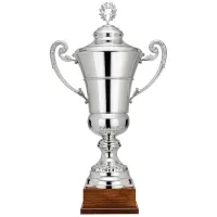 Zdjęcie Trofeum sportowe - srebrny puchar