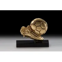 Zdjęcie Trofeum dla piłkarza