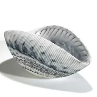 Picture Fantastic glass bowl in the shape of a shell