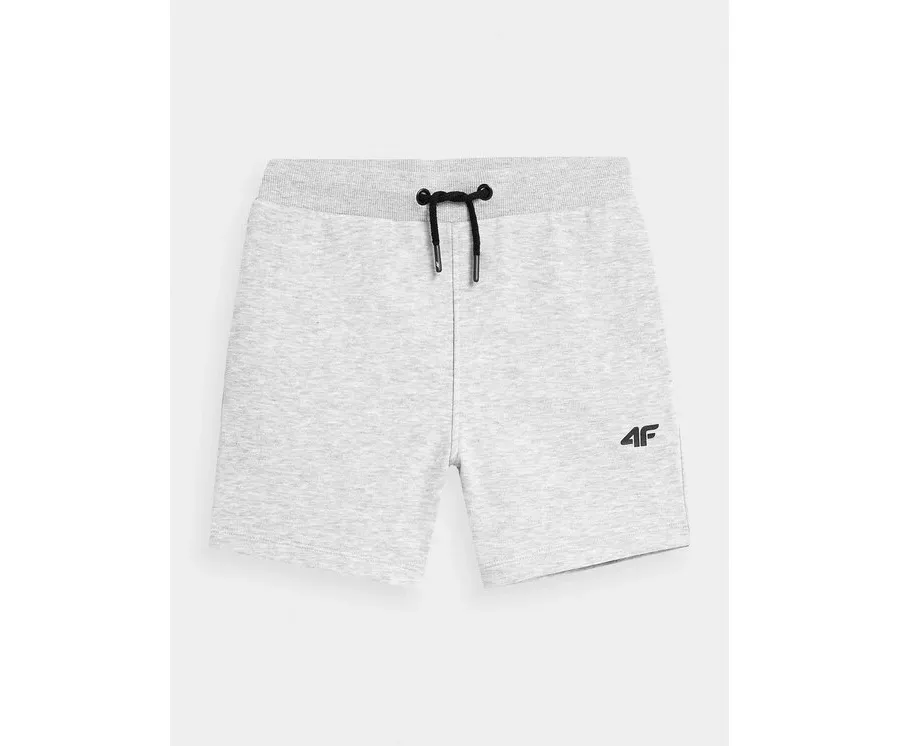 obrazek 1 4F Szorty sportowe 4FJSS23TSHOM048 Szary Regular Fit