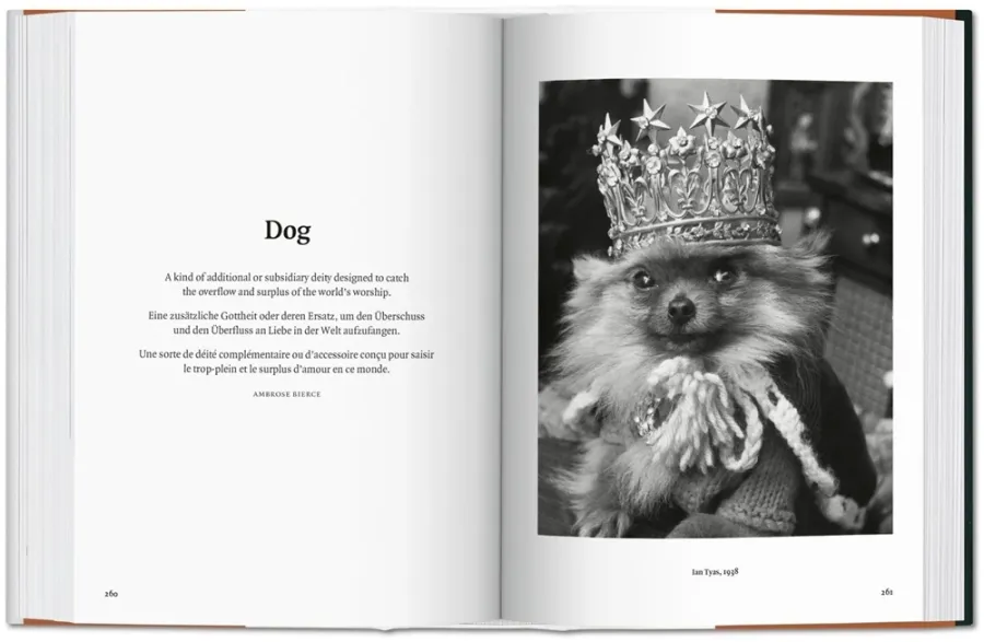 obrazek 5 Książka The Dog in Photography 1839–Today - Taschen