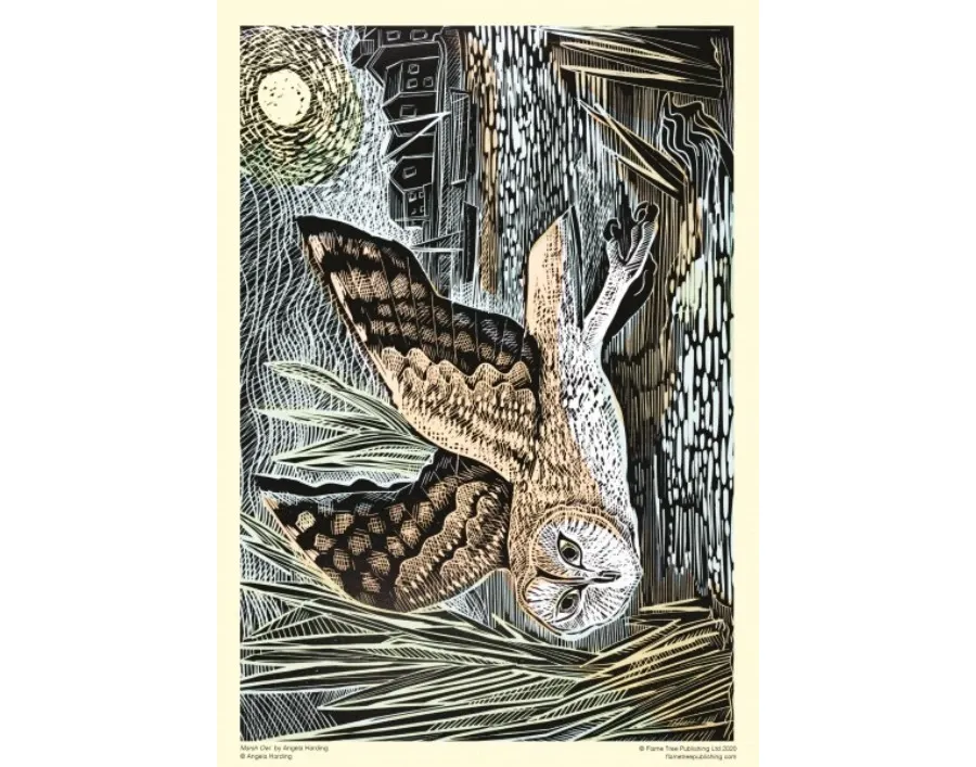 obrazek 3 Puzzle dla dorosłych Angela Harding: Sowa bagienna - Flame Tree Publishing