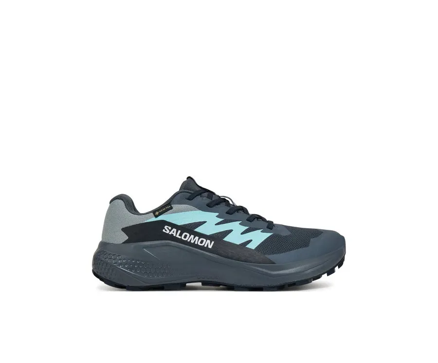 obrazek 1 Salomon Buty do biegania Alphaglide Gore-Tex L47802500 Szary