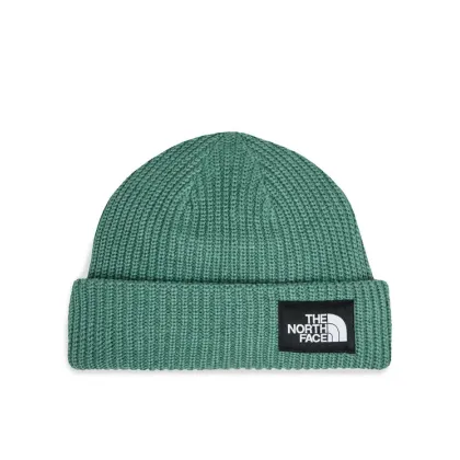 Zdjęcie The North Face Czapka Salty Lined BeanieNF0A3FJWI0F1 Zielony