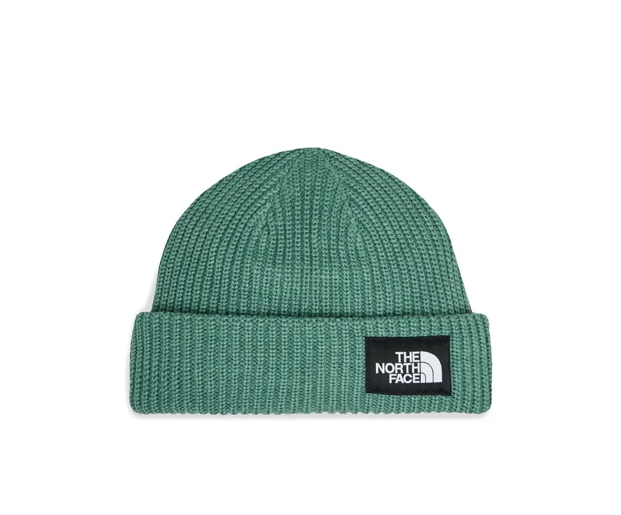obrazek 1 The North Face Czapka Salty Lined BeanieNF0A3FJWI0F1 Zielony