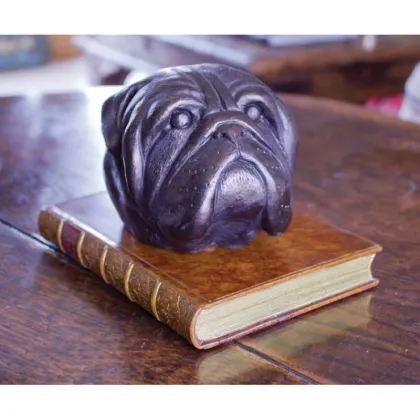 Picture A unique paperweight