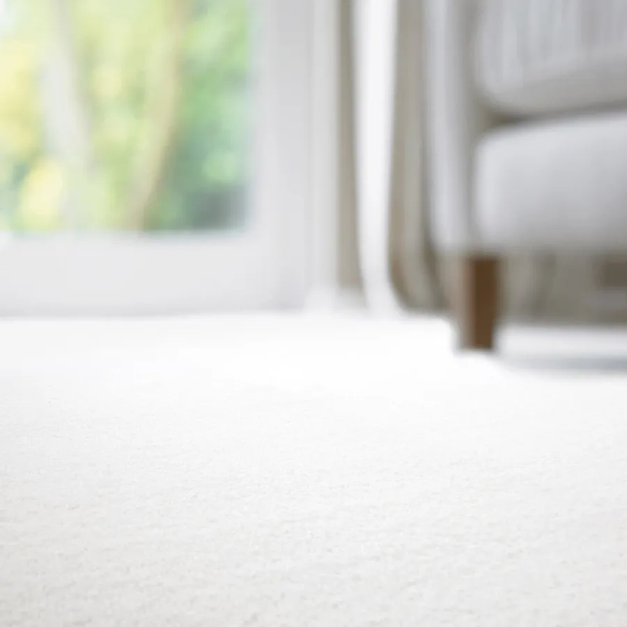 picture 5 SEBO DUO carpet and rug cleaning machine