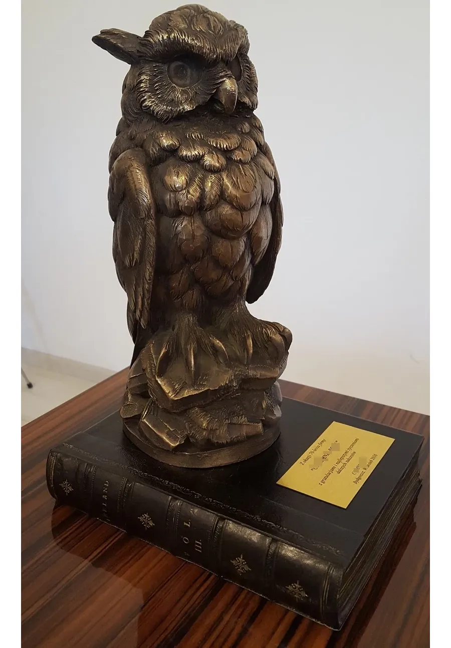 obrazek 4 Gustowna figurka na biurko - Mądra Sowa!