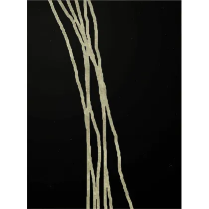 Zdjęcie Wyszukany wełniany dywan do eleganckich wnętrz - Sartori Rugs