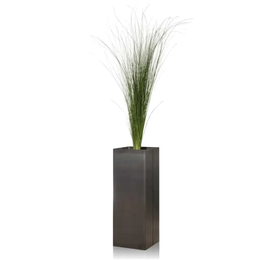 obrazek 1 Dekoracja – ustabilizowana trawa pampasowa (Gynerium)