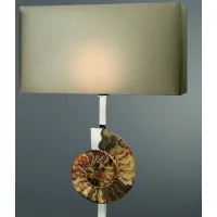 Picture A stunning table lamp made of nickel-plated brass and ammonites