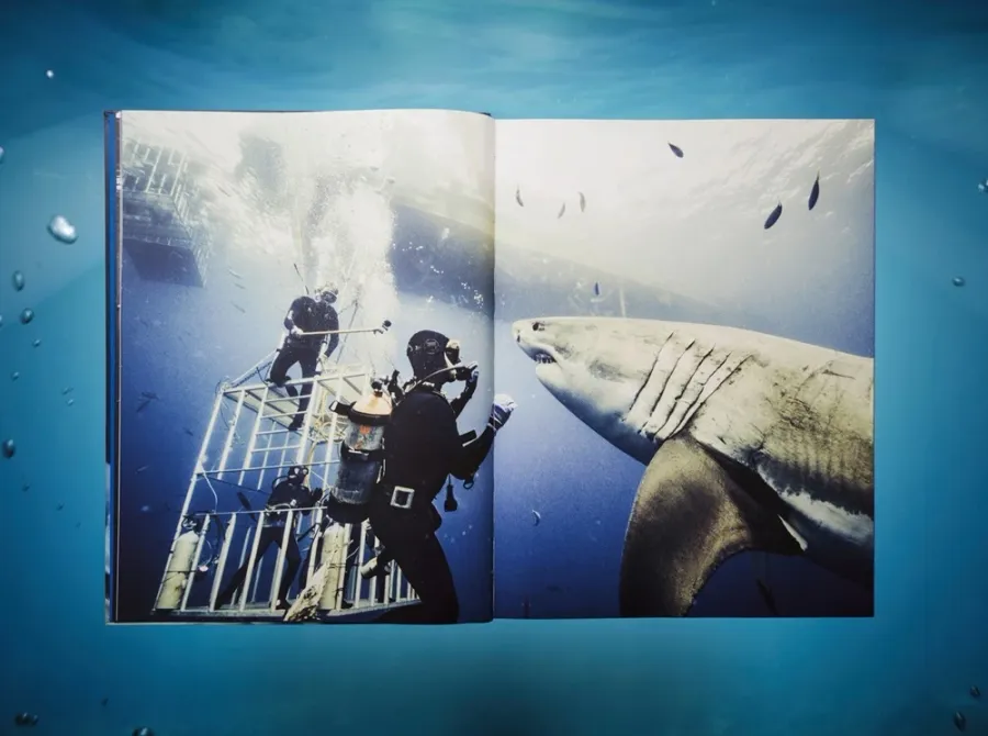 obrazek 2 Książka Michael Muller. Sharks - Taschen