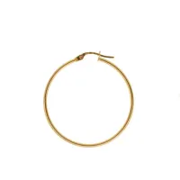 Picture Beautiful shiny round earrings 60 mm