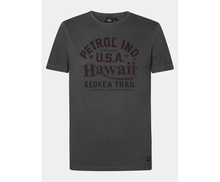 obrazek 1 Petrol Industries T-Shirt M-1040-TSR606 Szary Regular Fit