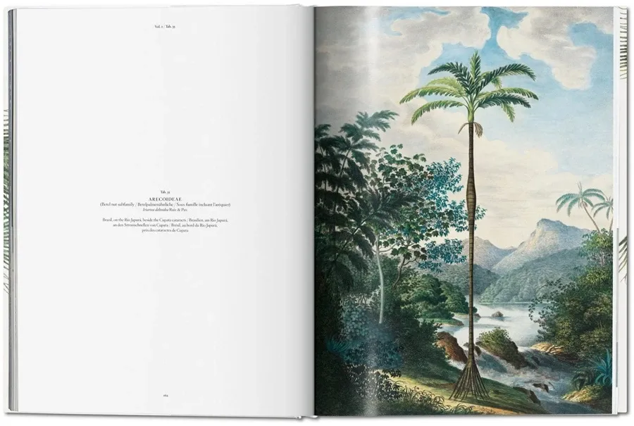 obrazek 6 Książka von Martius. Księga Palm - Taschen