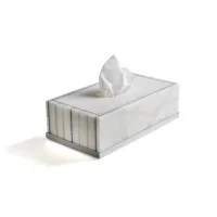 Picture Luxurious tissue holder for an elegant bathroom – 3SC