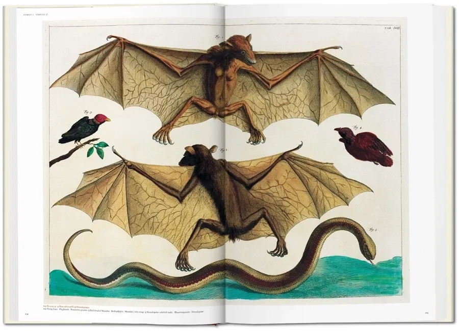 obrazek 4 Książka Albertus Seba. Cabinet of Natural Curiosities - Taschen