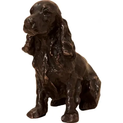 Zdjęcie Brązowy Cocker Spaniel