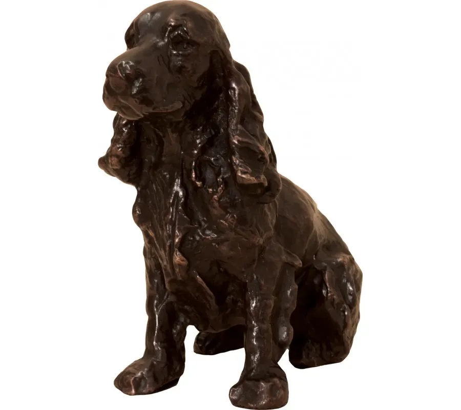 obrazek 1 Brązowy Cocker Spaniel