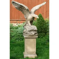 Zdjęcie Niesamowita figura Bielika Dużego